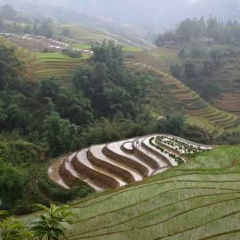 Sapa